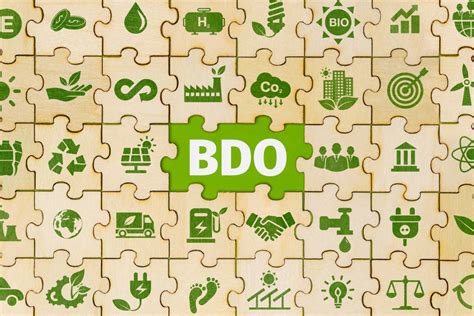 ww2.sam.bdo|bdo co to jest i kogo dotyczy.